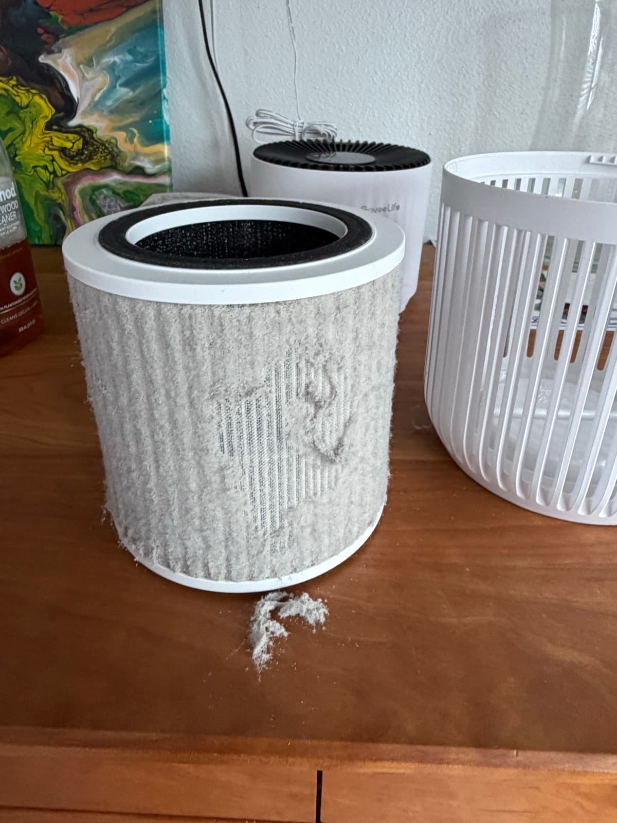 Air Purifier Filter Refresh - Before