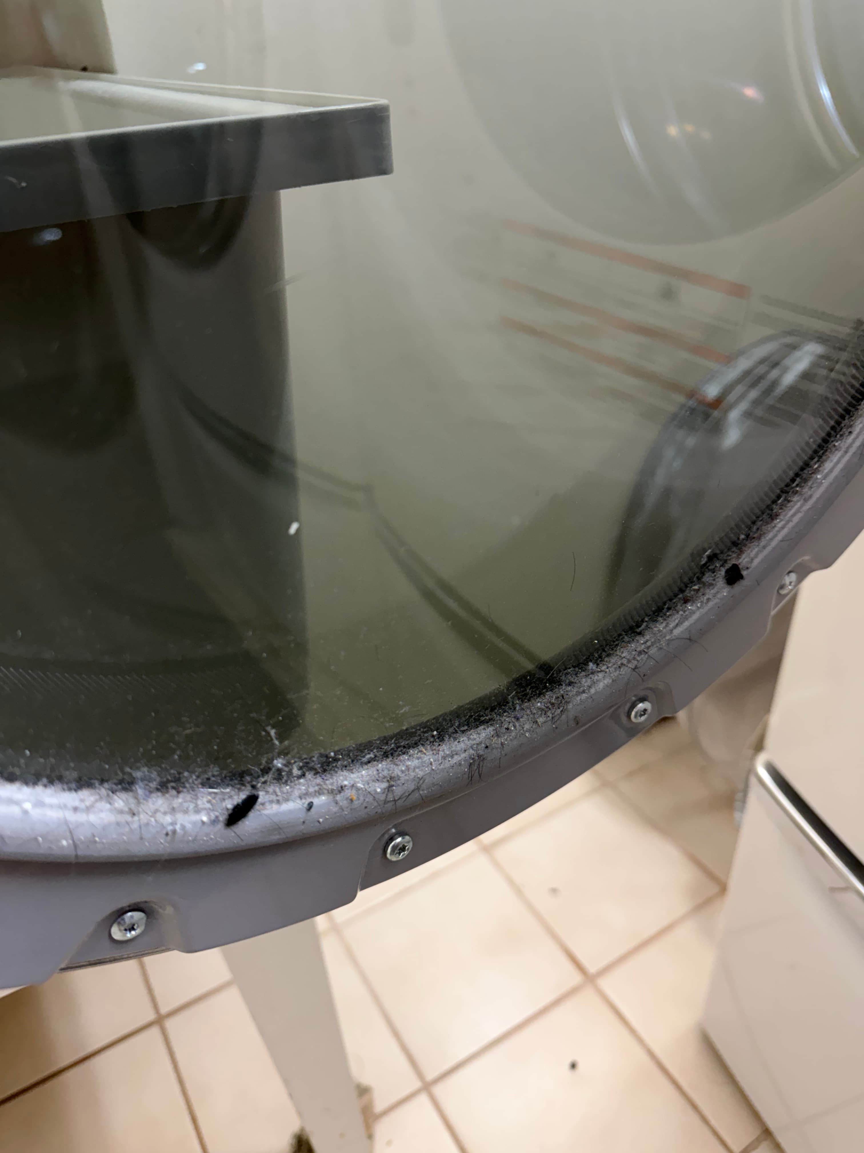 Dryer Door & Gasket - Before