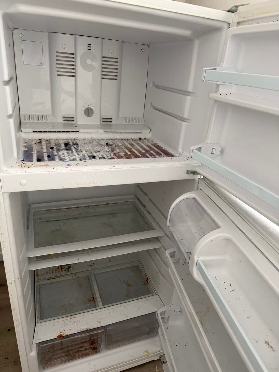 Fridge Deep Clean - Before