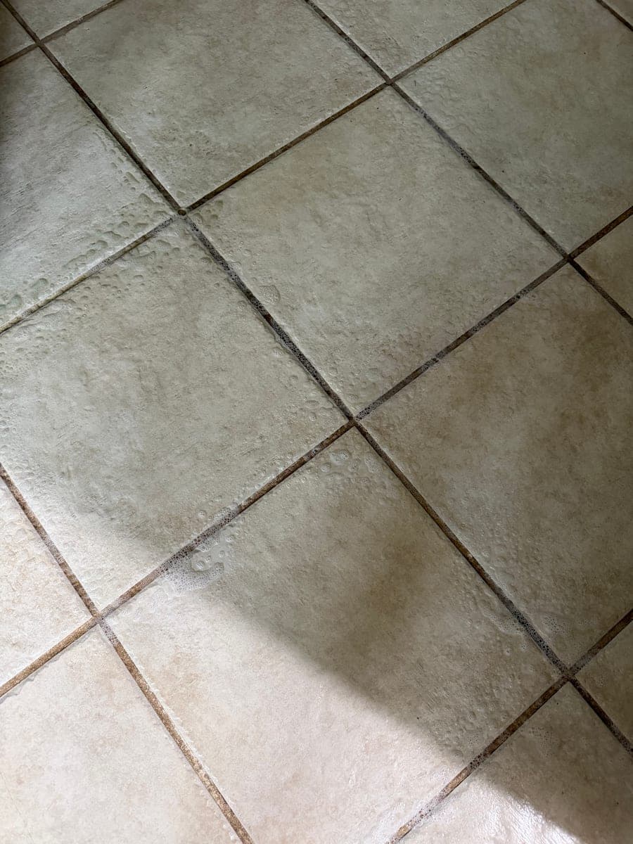 Tile & Grout Refresh - Before