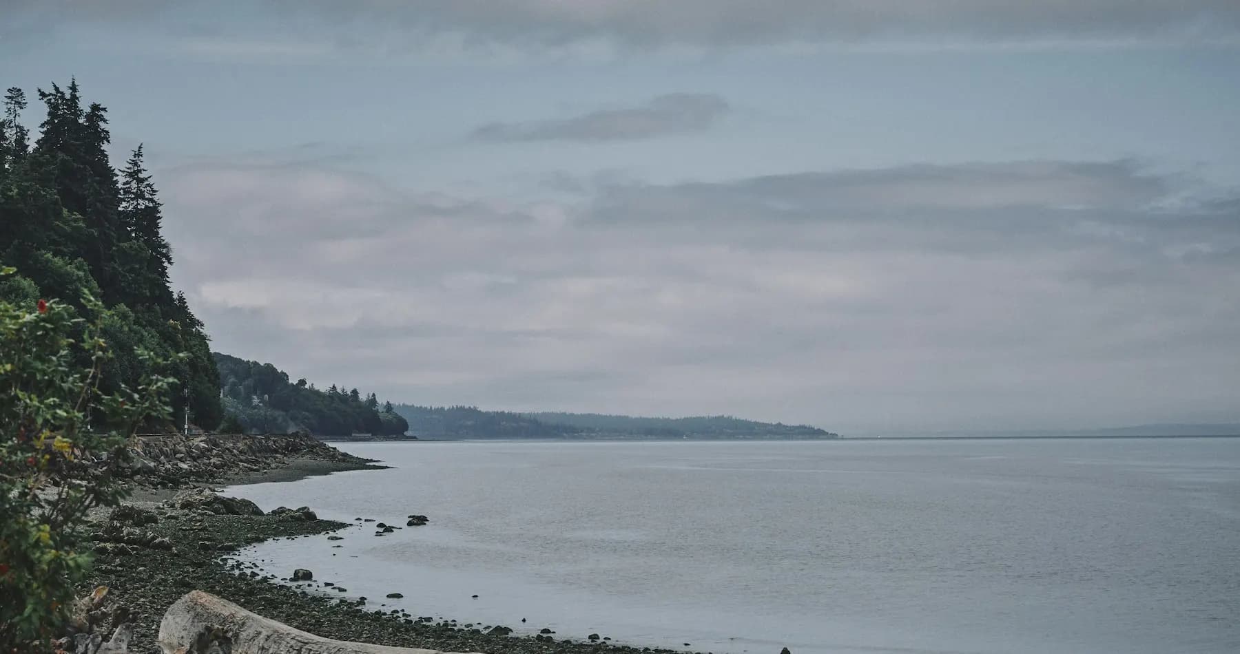 Tree-lined Puget Sound shoreline in the Pacific Northwest