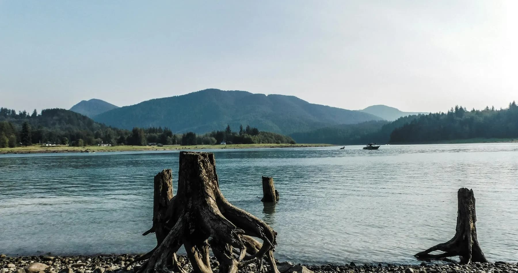 Forested Washington lake shoreline with mountains in the distance