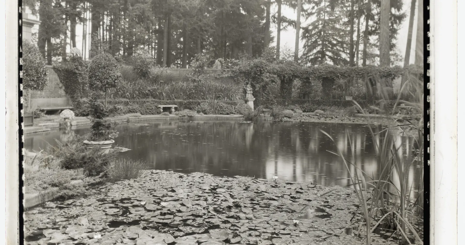 Water garden at Thornewood in Lakewood, Washington